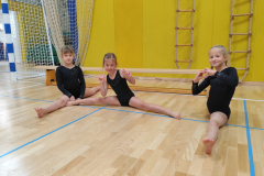 Polfinale-D.T.-SG-7.5.2025_10